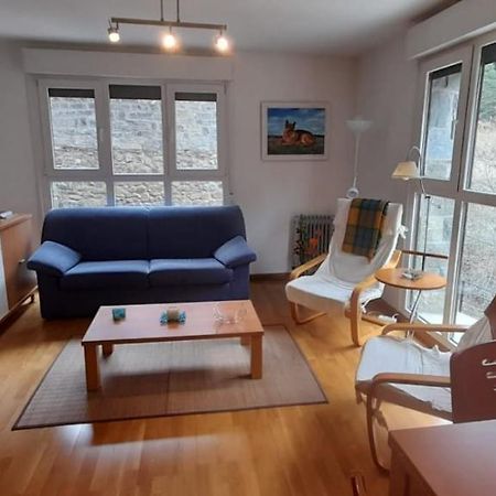 Buenavista Apartment Canfranc Luaran gambar