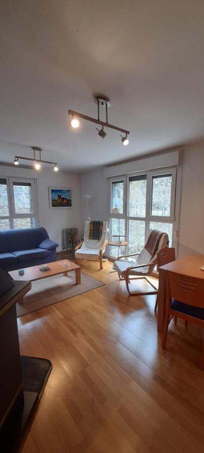 Buenavista Apartment Canfranc Luaran gambar